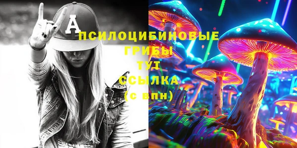 spice Алексеевка