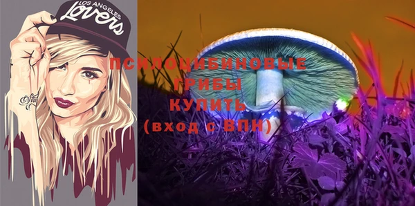 spice Алексеевка
