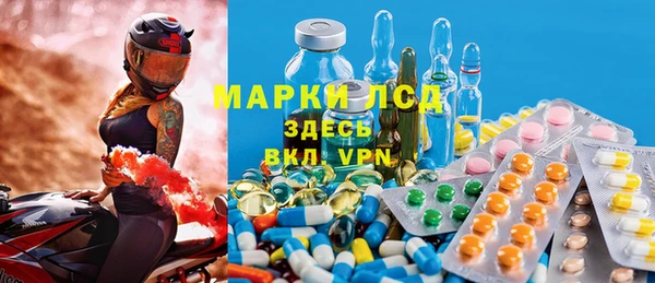 дмт Алзамай