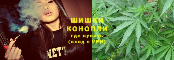 дмт Алзамай